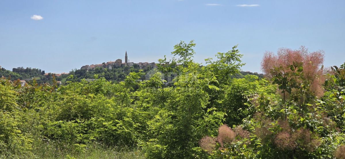 ISTRA, BUJE - Gradbeno zemljišče z dovoljenjem za 3 vile z bazenom, čudovit pogled na morje