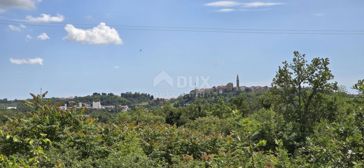 ISTRA, BUJE - Gradbeno zemljišče z dovoljenjem za 3 vile z bazenom, čudovit pogled na morje