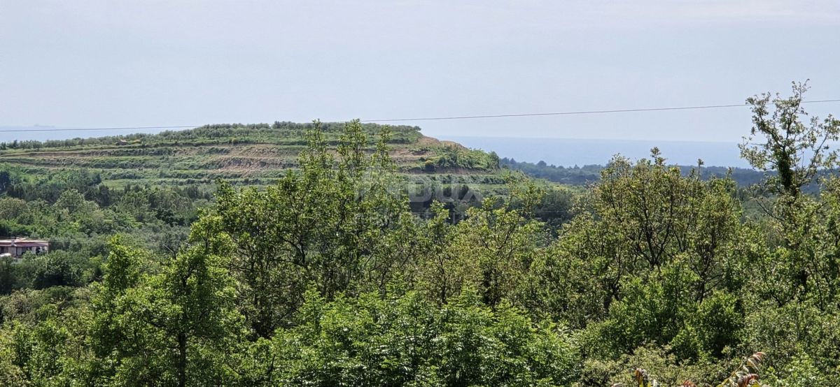 ISTRA, BUJE - Gradbeno zemljišče z dovoljenjem za 3 vile z bazenom, čudovit pogled na morje