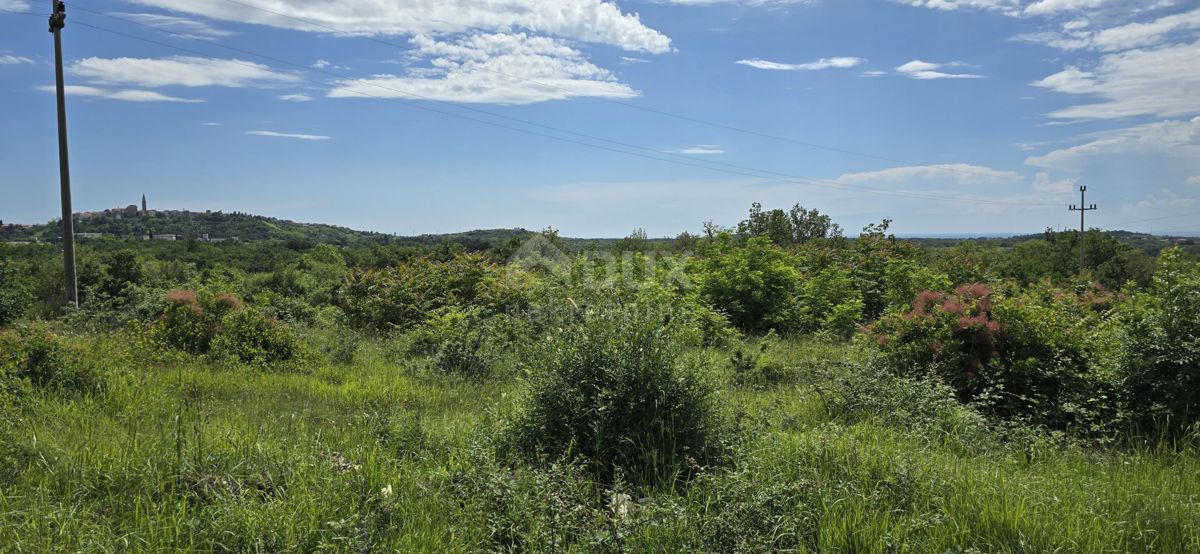 ISTRA, BUJE - Gradbeno zemljišče z dovoljenjem za 3 vile z bazenom, čudovit pogled na morje