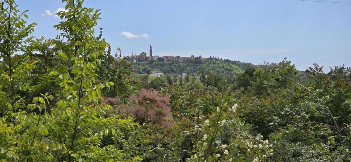 ISTRA, BUJE - Gradbeno zemljišče z dovoljenjem za 3 vile z bazenom, čudovit pogled na morje