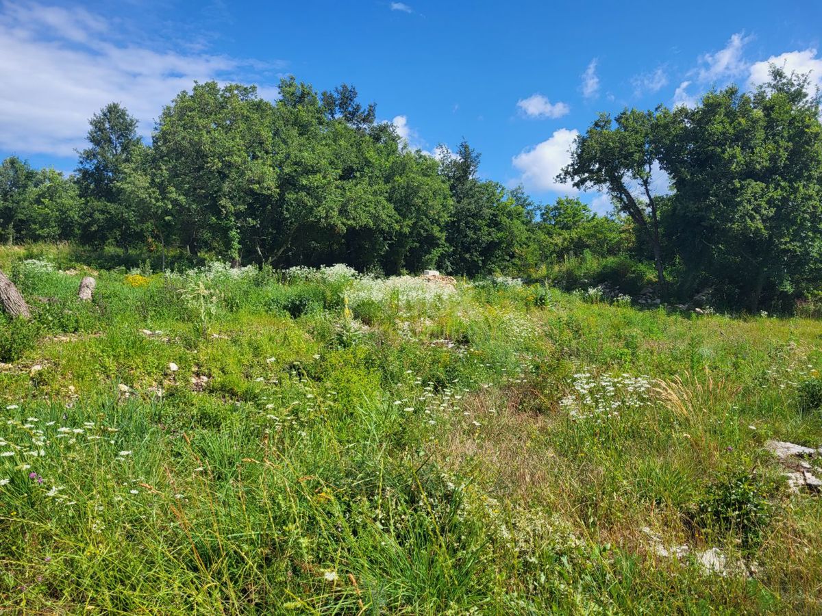 ISTRA, GROŽNJAN - Gradbeno zemljišče z projektom