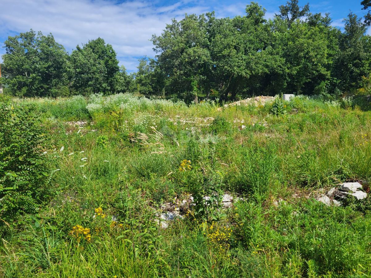 ISTRA, GROŽNJAN - Gradbeno zemljišče z projektom