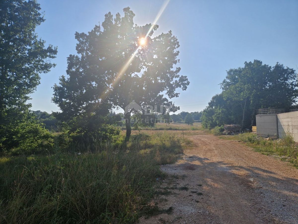 ISTRA, TINJAN - Gradbena parcela na odlični lokaciji