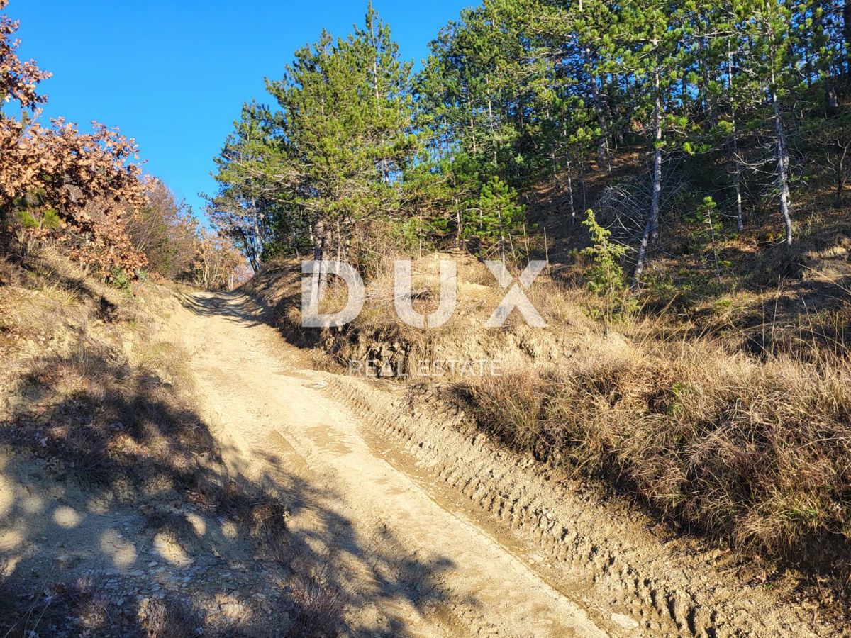 ISTRA, BUZET - Kmetijsko zemljišče