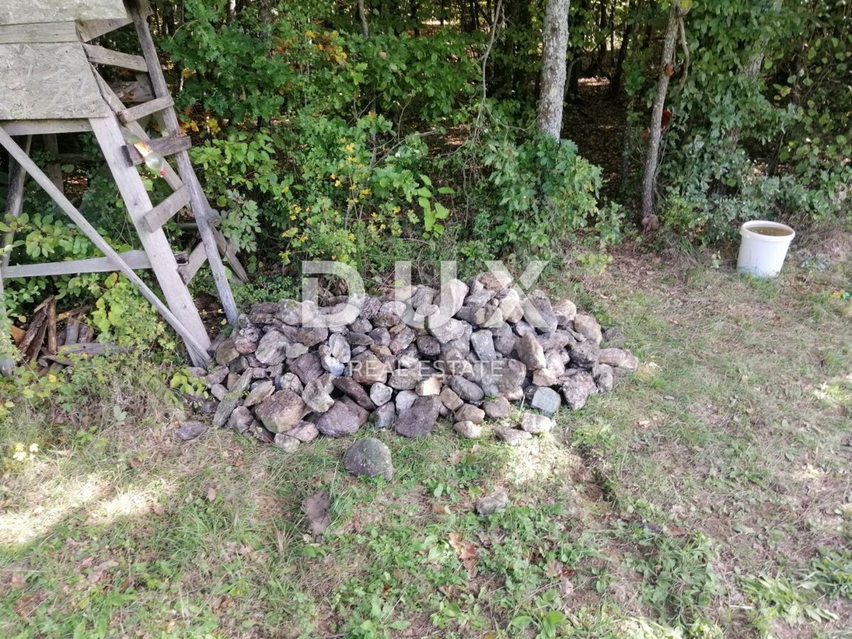 POŽEGA, PAPUK - Priložnost za bivanje izven omrežja! Zemljišče z vodnim virom in vsemi potrebnimi viri!