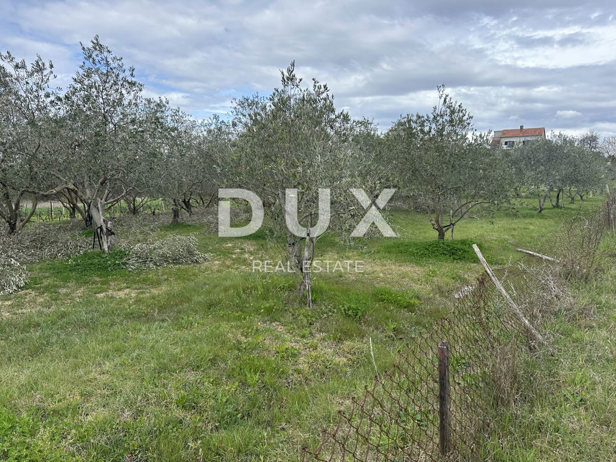 Zemljišče Murvica, Poličnik, 550m2