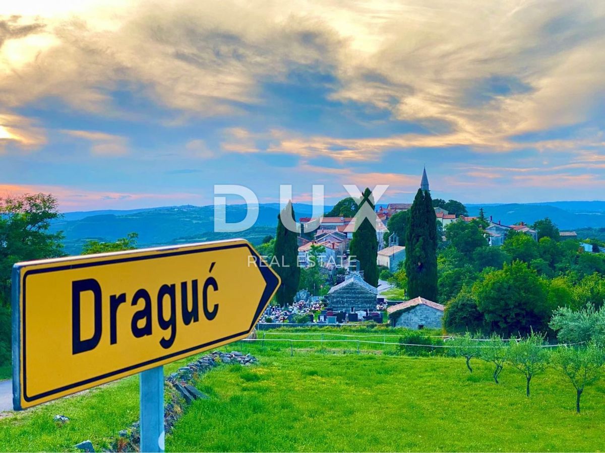 ISTRA, DRAGUĆ - dve hiši + 3.265 m2 gradbenega zemljišča s 6 načrtovanimi hišami! PRILOŽNOST!