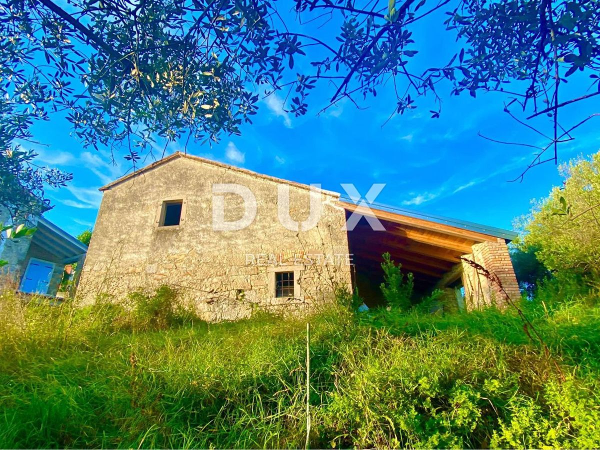 ISTRA, DRAGUĆ - dve hiši + 3.265 m2 gradbenega zemljišča s 6 načrtovanimi hišami! PRILOŽNOST!