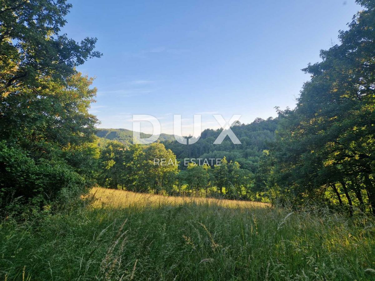 ISTRA, CEROVLJE - Zazidljivo zemljišče s panoramskim razgledom