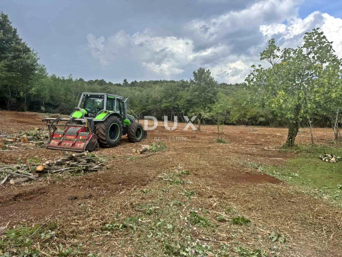 ISTRA, BARBAN - Gradbeno zemljišče v bližini centra mesta