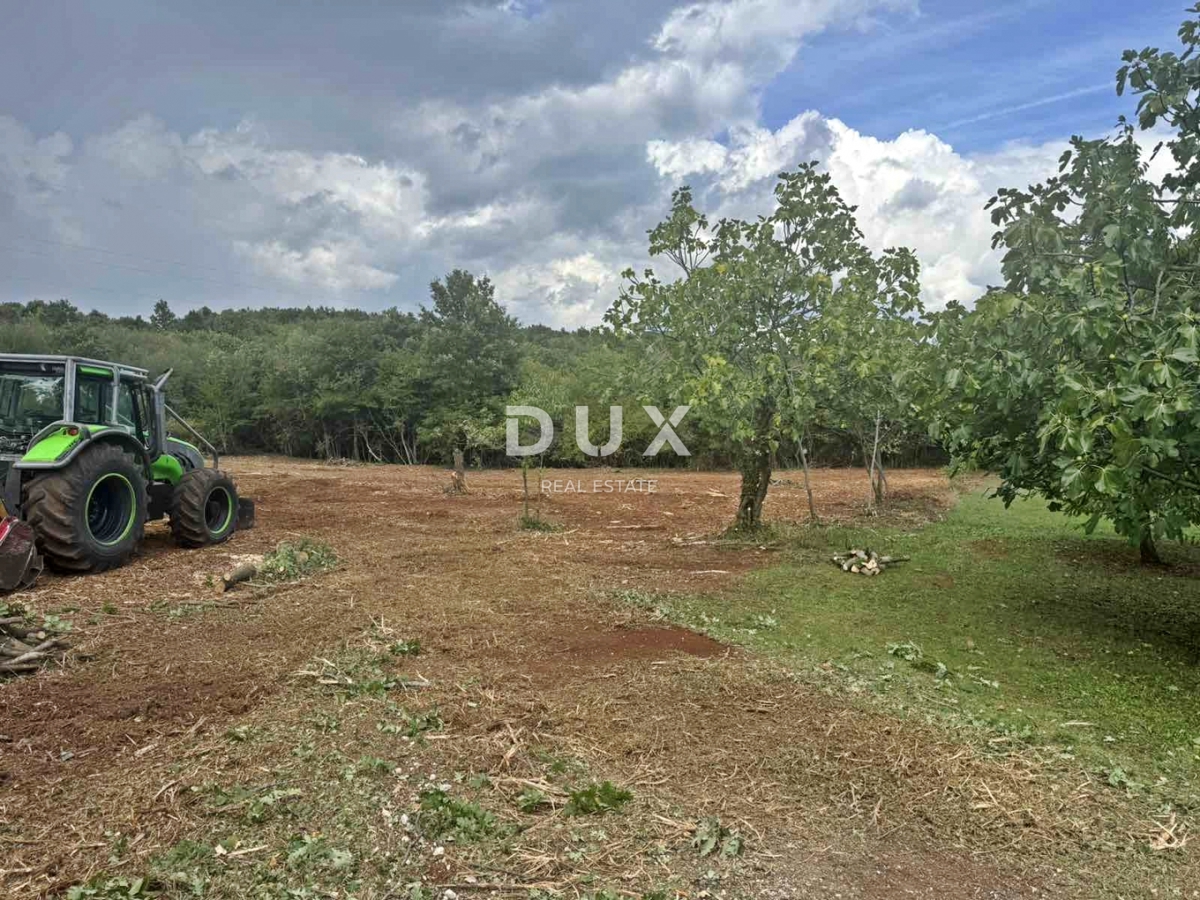 ISTRA, BARBAN - Gradbeno zemljišče v bližini centra mesta