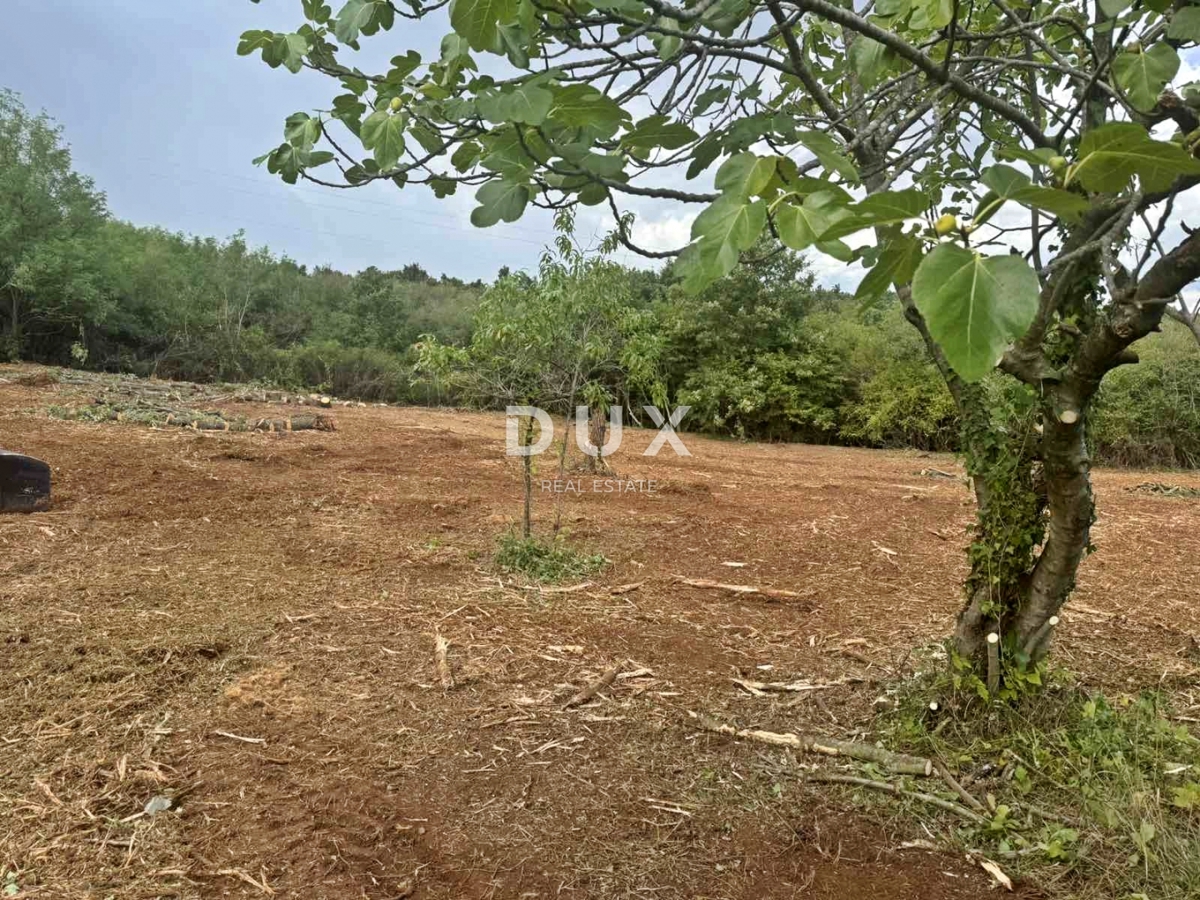 ISTRA, BARBAN - Gradbeno zemljišče v bližini centra mesta