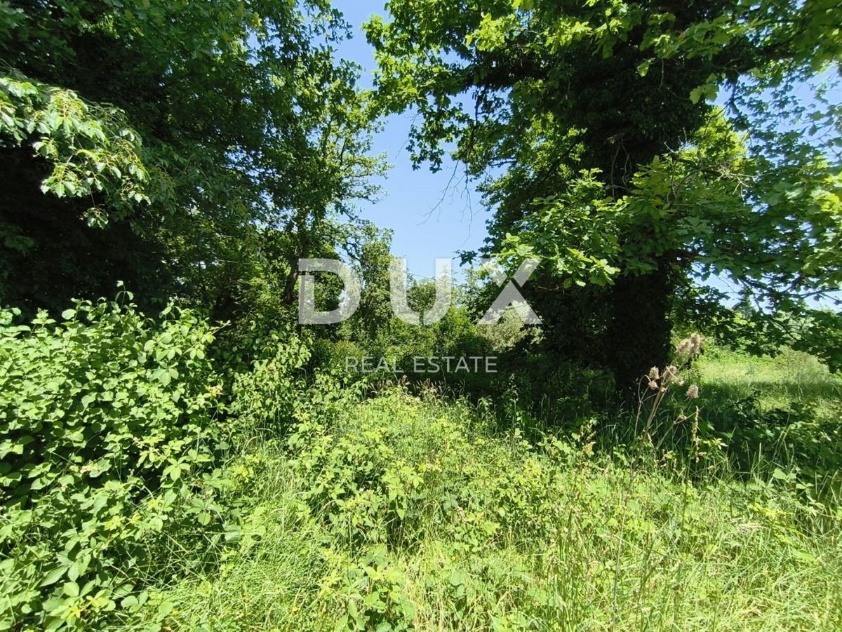 ZAGREBAČKA, JASTREBARSKO - Priložnost! Hiša na najlepši lokaciji, sanjski projekt
