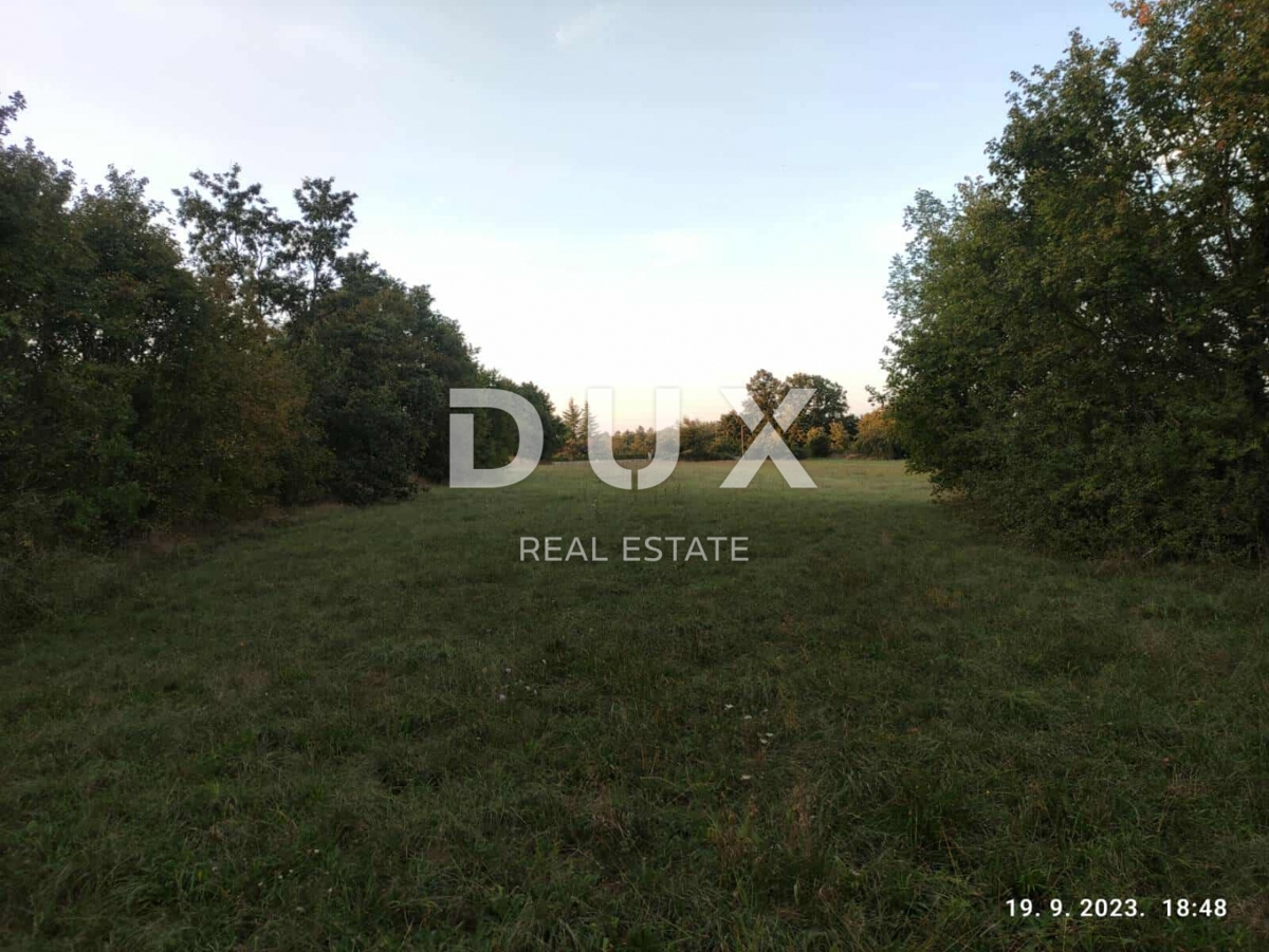 ISTRA, ŽMINJ - Veliko gradbeno zemljišče v Žminju - 2737 m² miru, prostora in potenciala! 