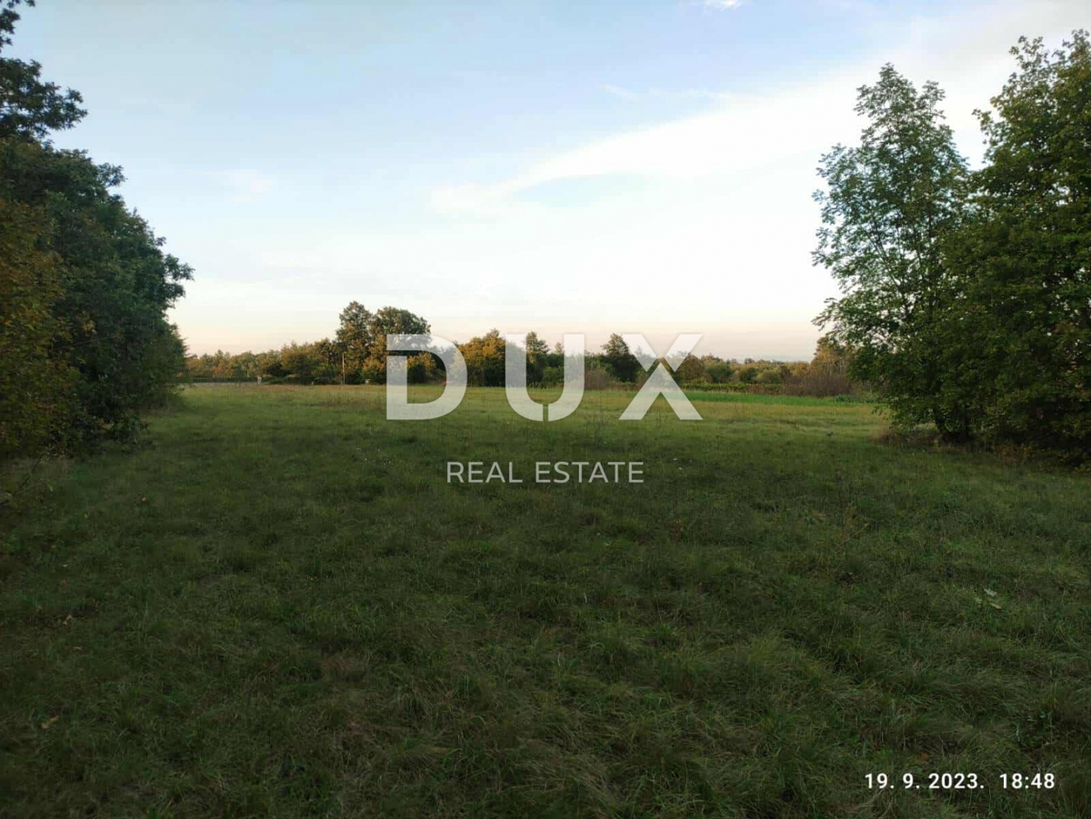 ISTRA, ŽMINJ - Veliko gradbeno zemljišče v Žminju - 2737 m² miru, prostora in potenciala! 
