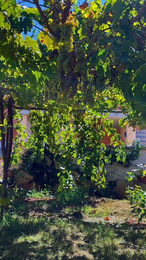 ISTRA, MEDULIN - Istrska kamnita hiša + Počitniška hiša na odlični lokaciji