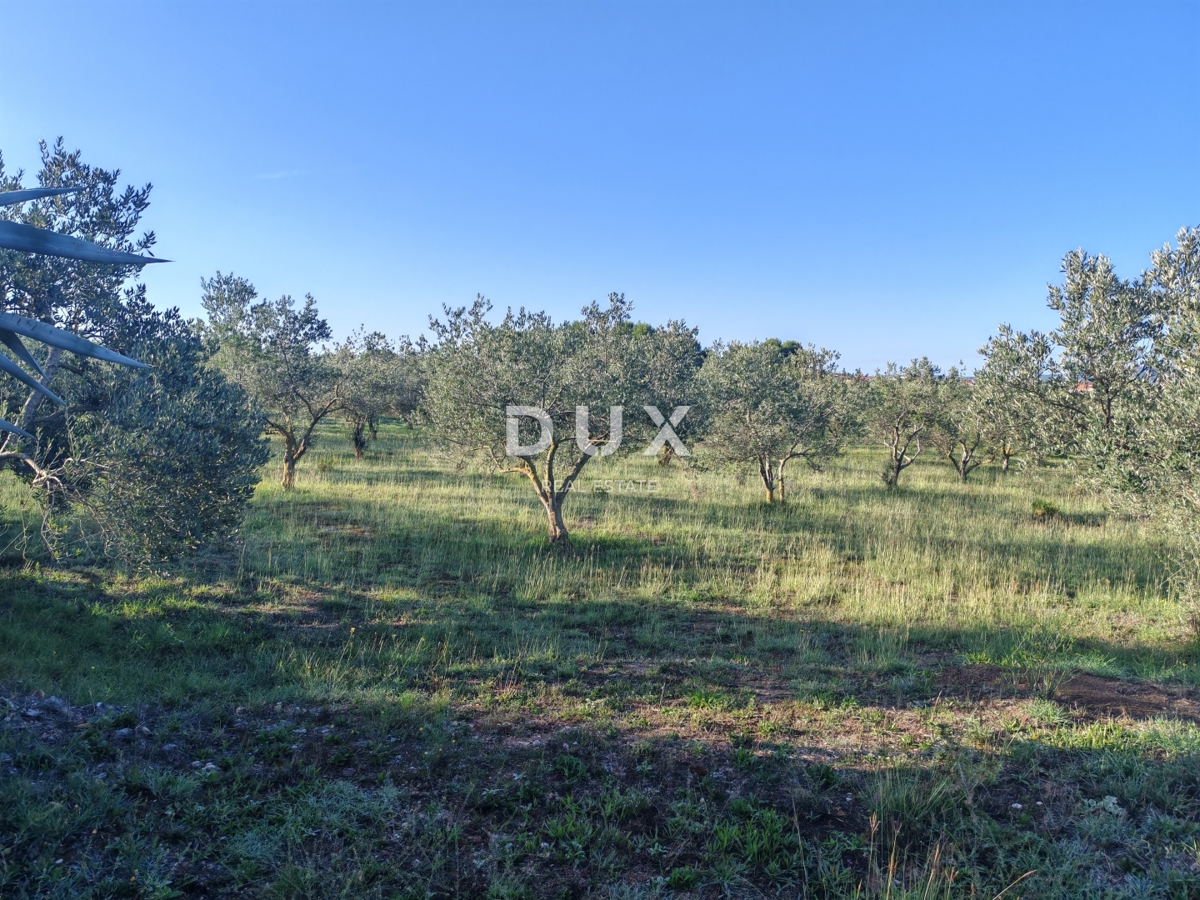 ZADAR, RDEČE HIŠE - Gradbeno zemljišče v poslovni coni!