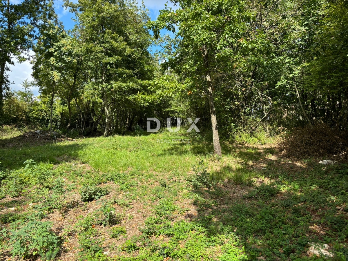 ISTRA, GRAČIŠĆE (okolica) - Gradbeno zemljišče s pogledom na naravo!