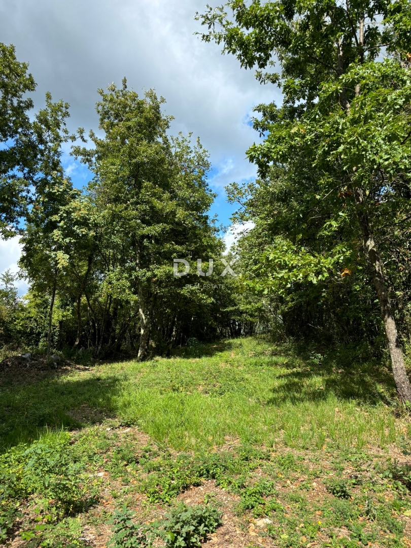 ISTRA, GRAČIŠĆE (okolica) - Gradbeno zemljišče s pogledom na naravo!