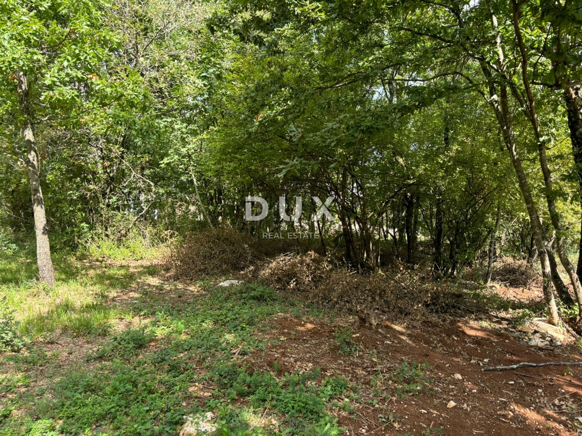 ISTRA, GRAČIŠĆE (okolica) - Gradbeno zemljišče s pogledom na naravo!