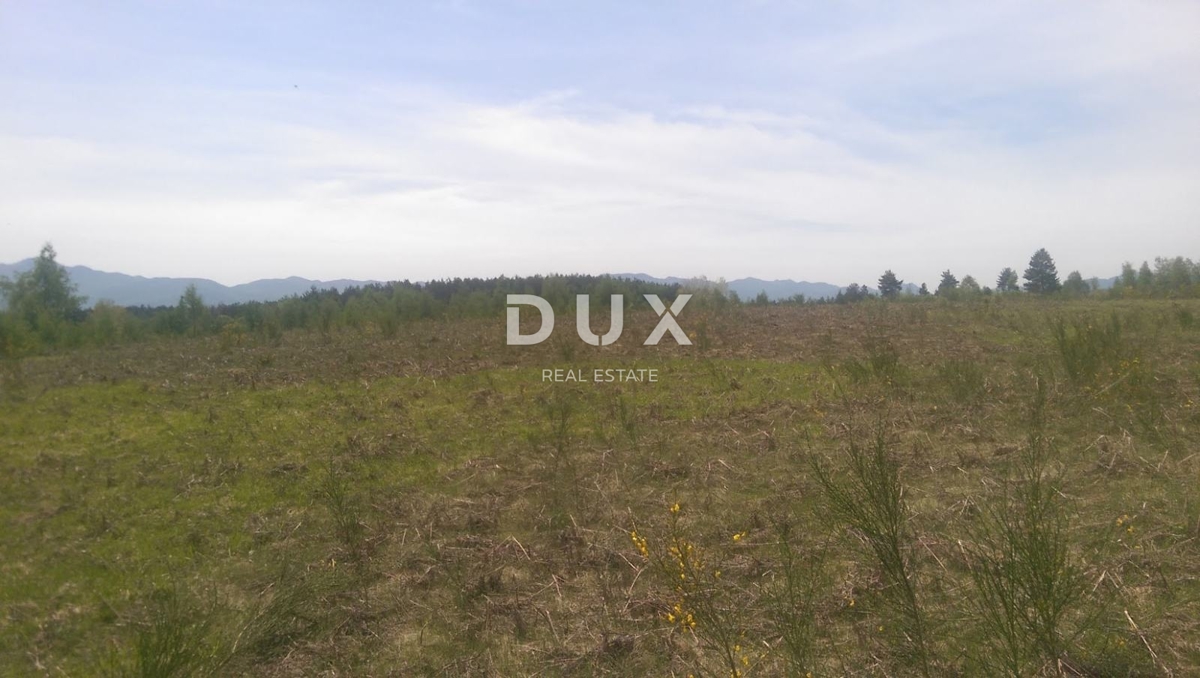 GOSPIĆ, LIPE - KMETIJSKO ZEMLJIŠČE, PRILOŽNOST!!