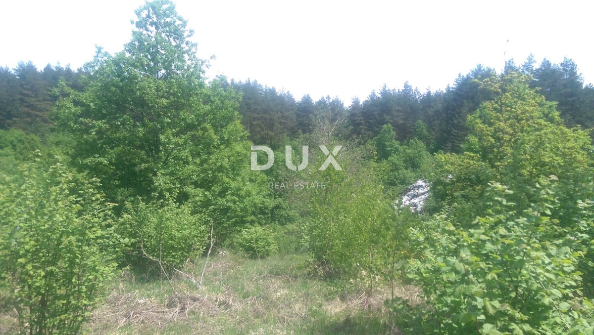 GOSPIĆ, LIPE - KMETIJSKO ZEMLJIŠČE, PRILOŽNOST!!