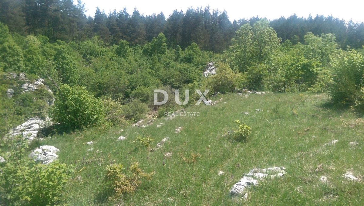 GOSPIĆ, LIPE - KMETIJSKO ZEMLJIŠČE, PRILOŽNOST!!