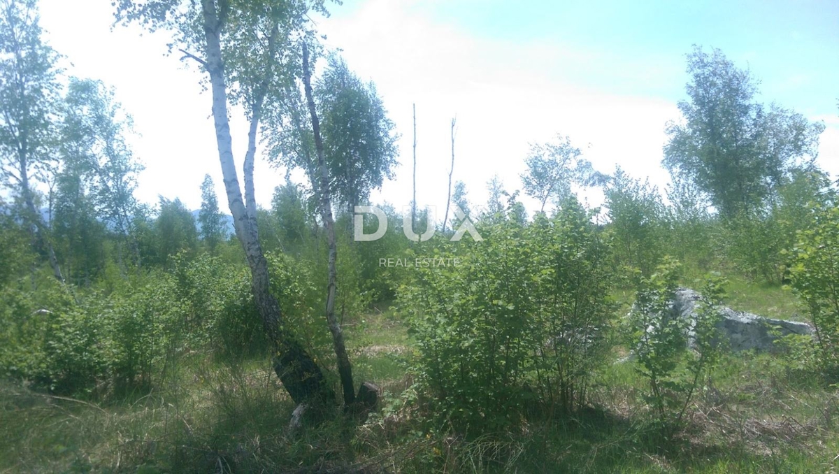 GOSPIĆ, LIPE - KMETIJSKO ZEMLJIŠČE, PRILOŽNOST!!