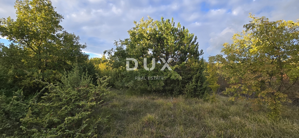 Zemljišče Gračišće, 13.280m2