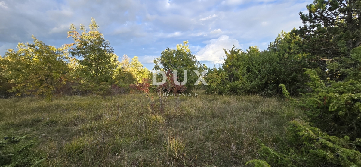 Zemljišče Gračišće, 13.280m2