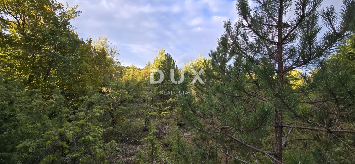 Zemljišče Gračišće, 13.280m2