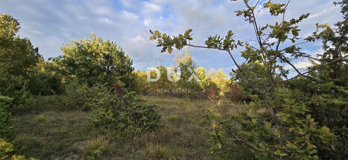 Zemljišče Gračišće, 13.280m2