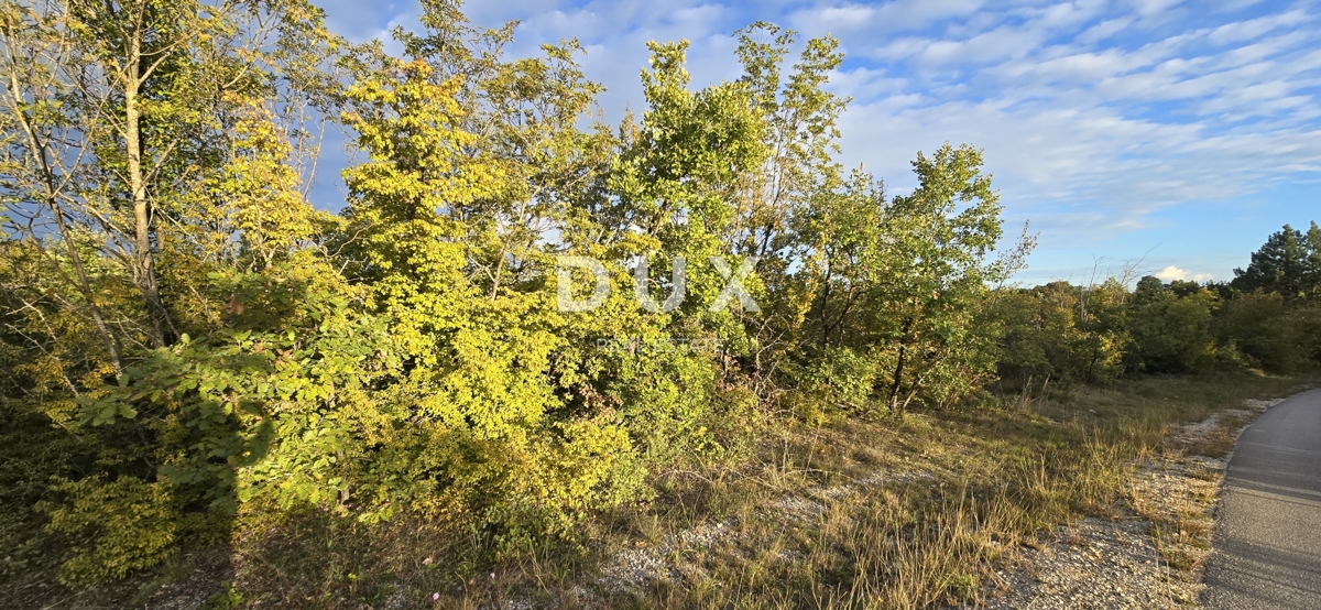 Zemljišče Gračišće, 13.280m2