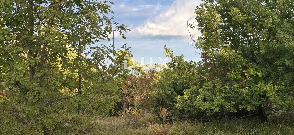 Zemljišče Gračišće, 13.280m2