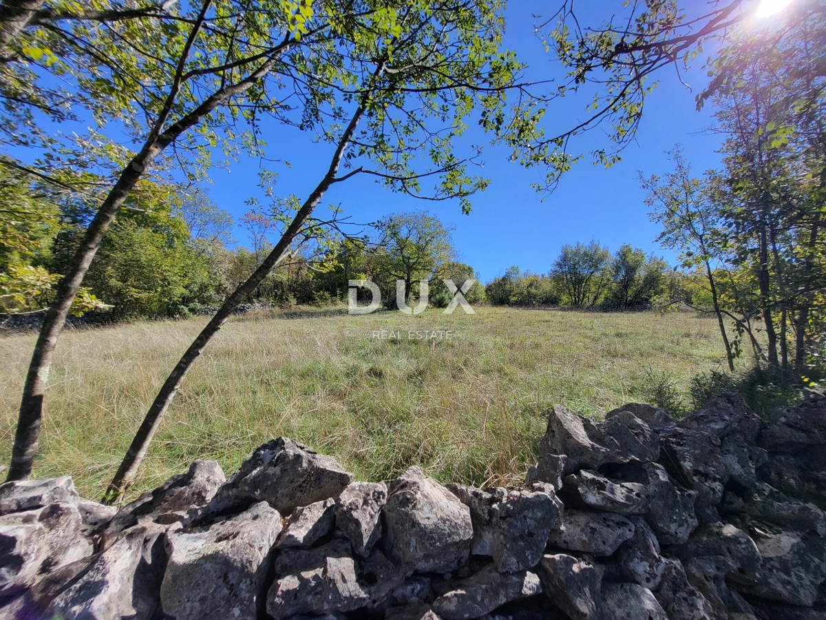 Hiša Boljunsko Polje, Lupoglav, 166m2