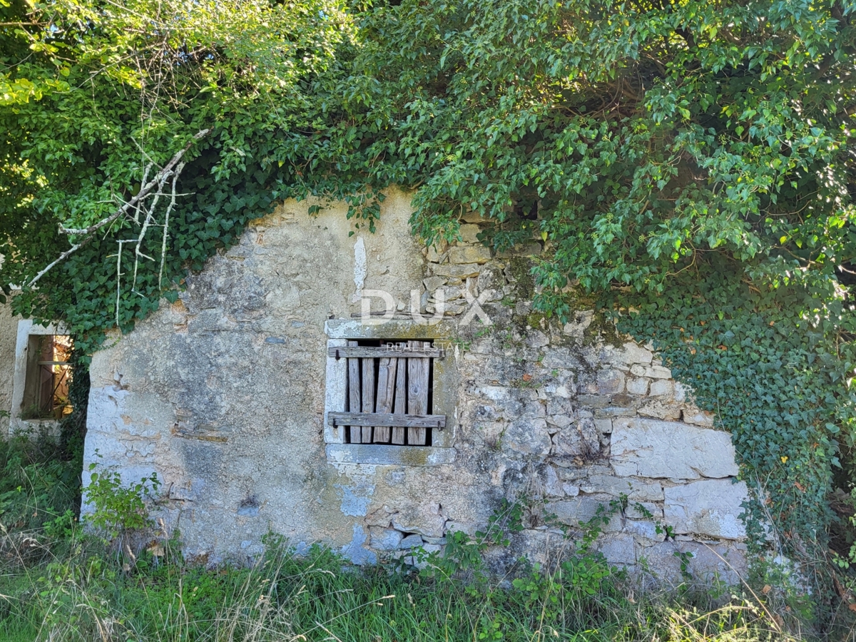 Hiša Boljunsko Polje, Lupoglav, 166m2
