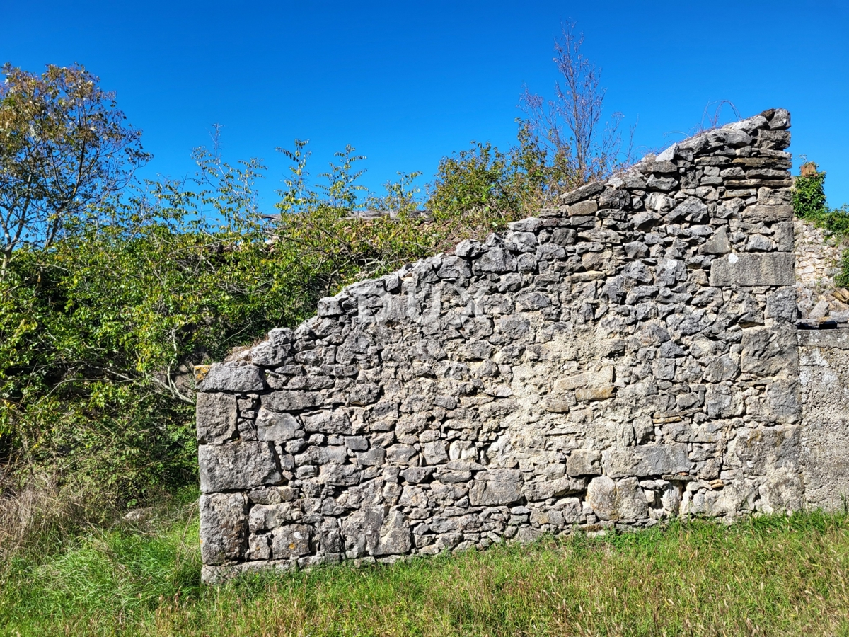 Hiša Boljunsko Polje, Lupoglav, 166m2