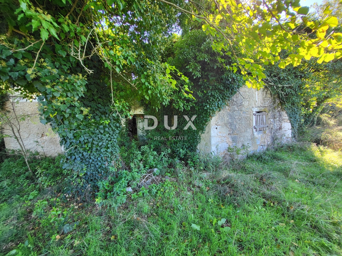 Hiša Boljunsko Polje, Lupoglav, 166m2