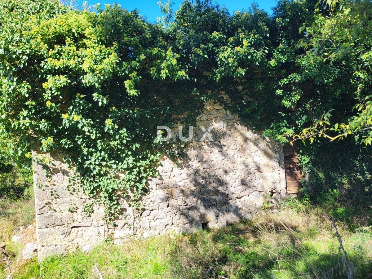 Hiša Boljunsko Polje, Lupoglav, 166m2