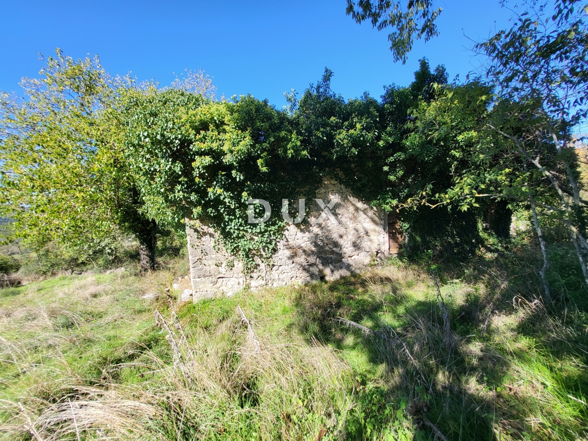 Hiša Boljunsko Polje, Lupoglav, 166m2