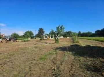 ISTRA, ŽMINJ – Gradbeno zemljišče z dovoljenjem in projektom z dodatnimi kmetijskimi površinami