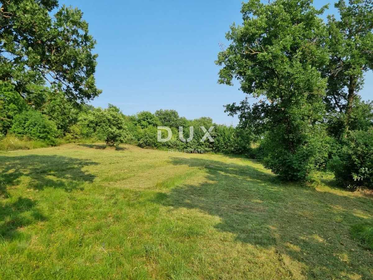 ISTRA, BARBAN - Gradbeno zemljišče z gradbenim dovoljenjem za dvojček z bazenom