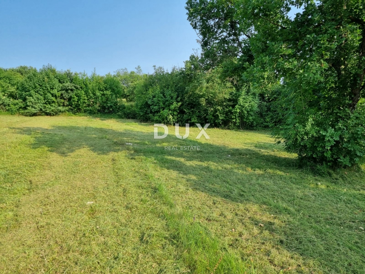 ISTRA, BARBAN - Gradbeno zemljišče z gradbenim dovoljenjem za dvojček z bazenom