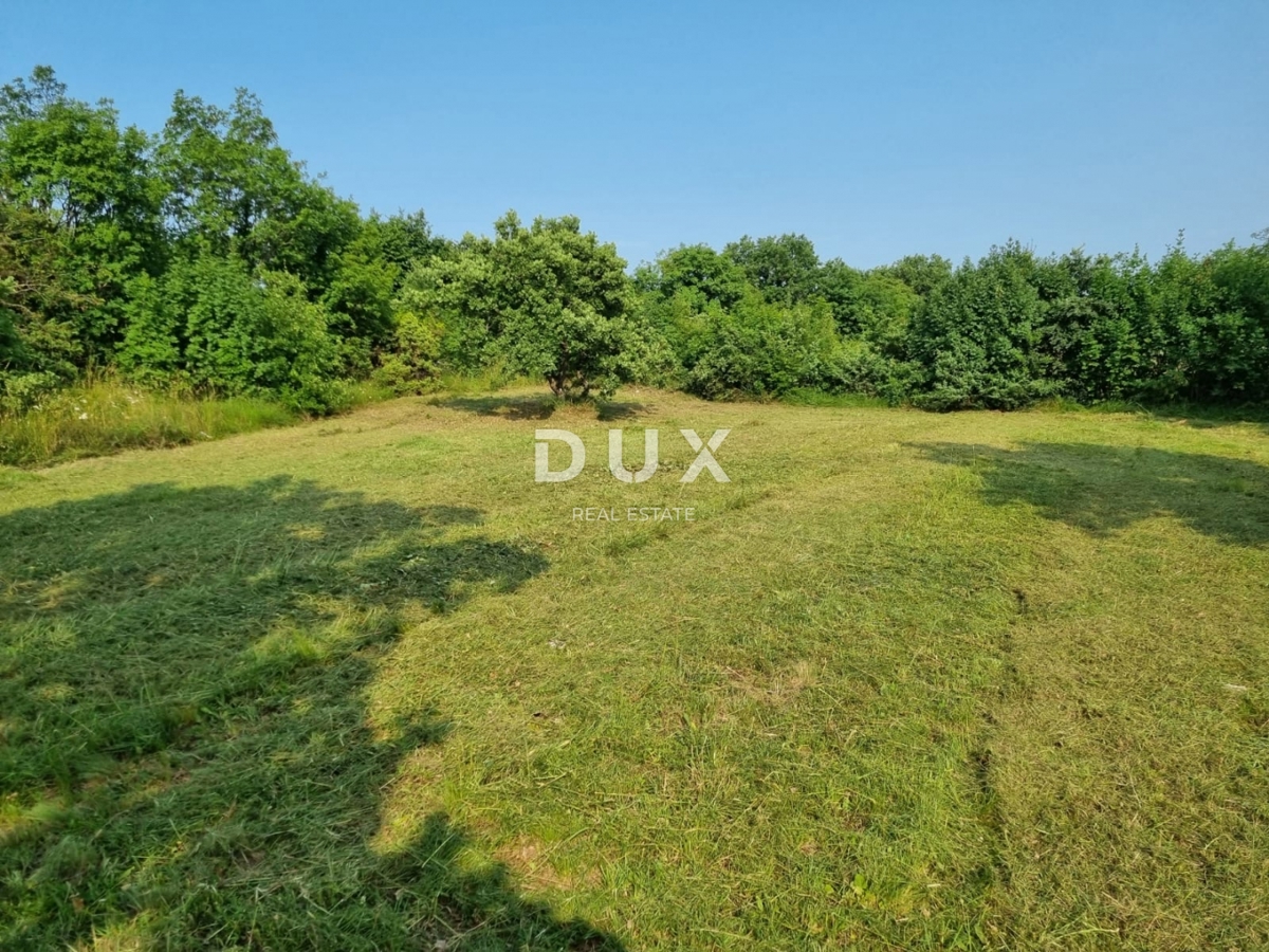 ISTRA, BARBAN - Gradbeno zemljišče z gradbenim dovoljenjem za dvojček z bazenom