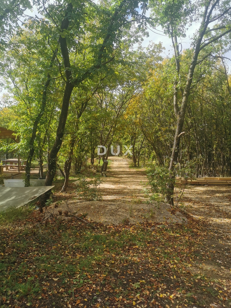 OTOK KRK, PUNAT - Kmetijska zemljišča