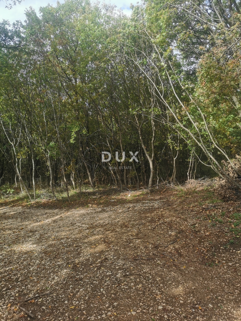 OTOK KRK, PUNAT - Kmetijska zemljišča