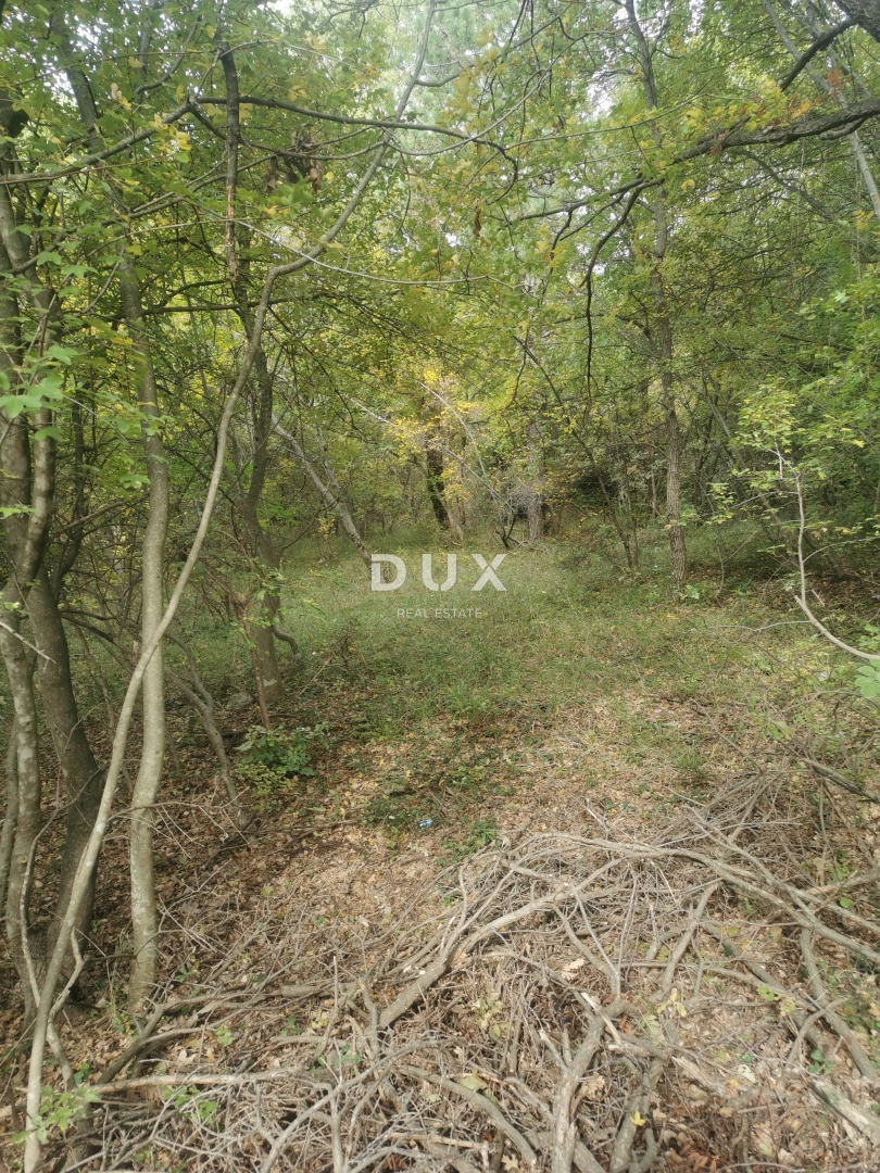 OTOK KRK, PUNAT - Kmetijska zemljišča