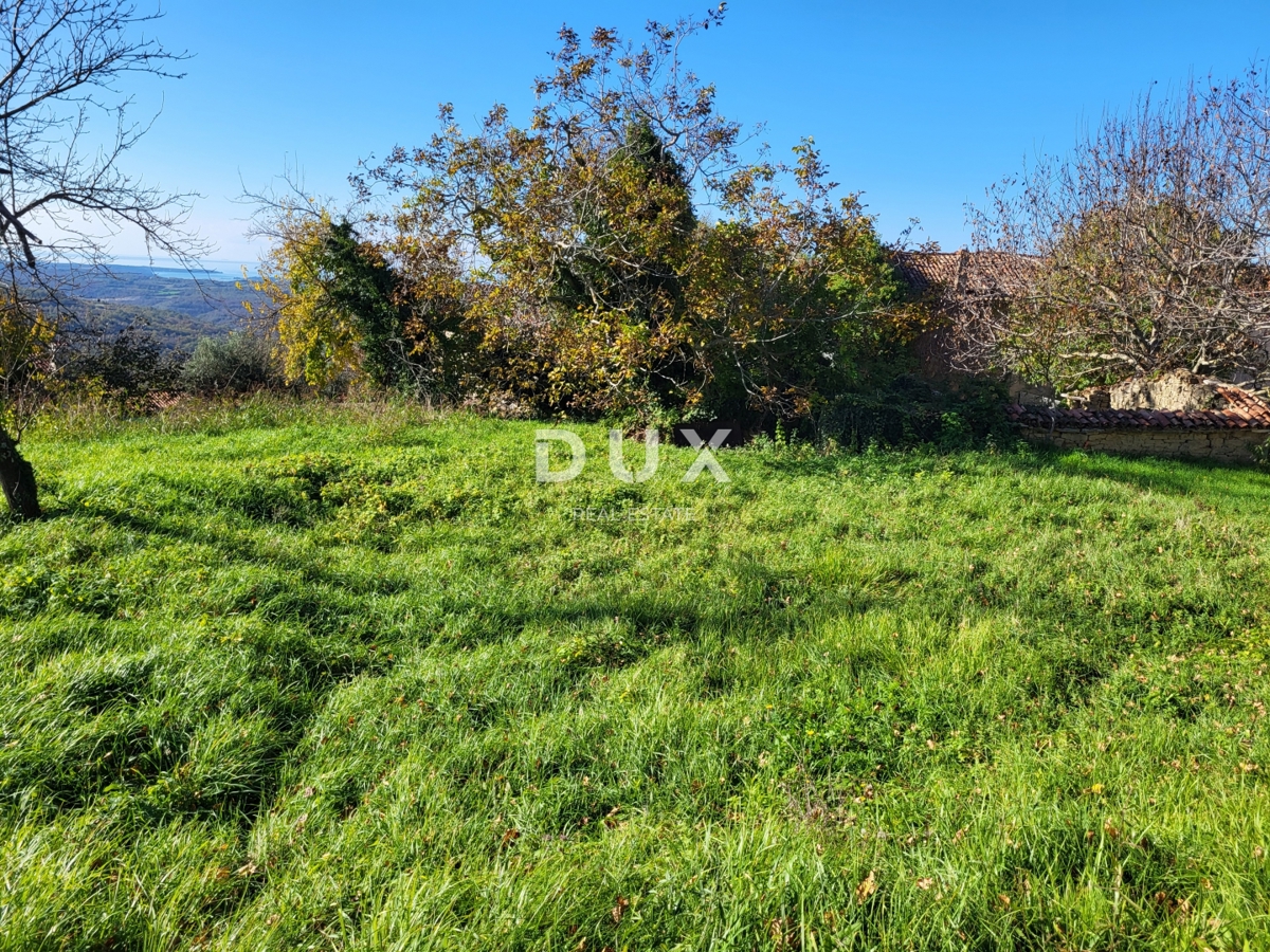 ISTRA, GROŽNJAN - Gradbeno zemljišče z odprtim pogledom na morje in okolico