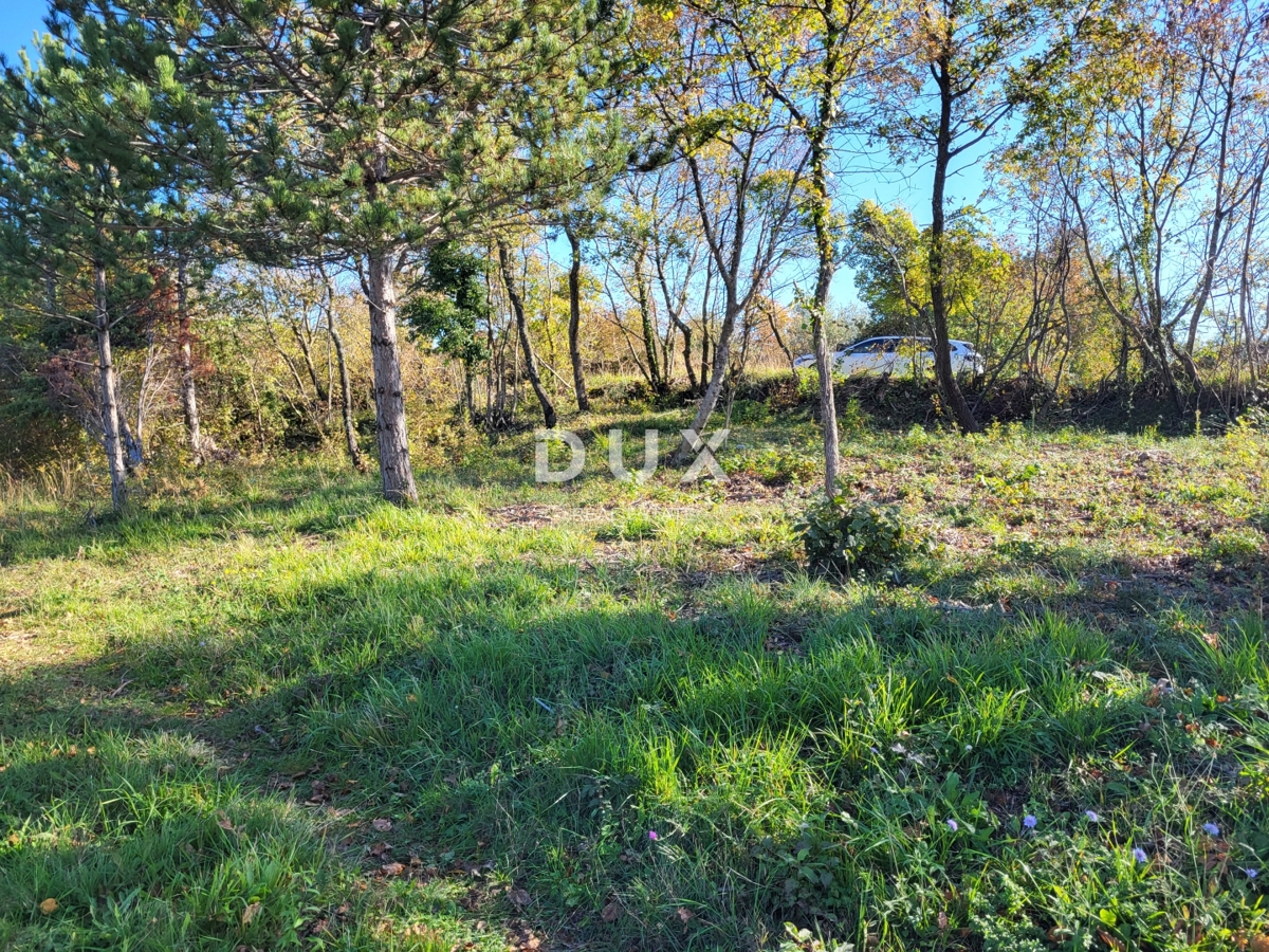 ISTRA, GROŽNJAN - Gradbeno zemljišče z odprtim pogledom na morje in okolico